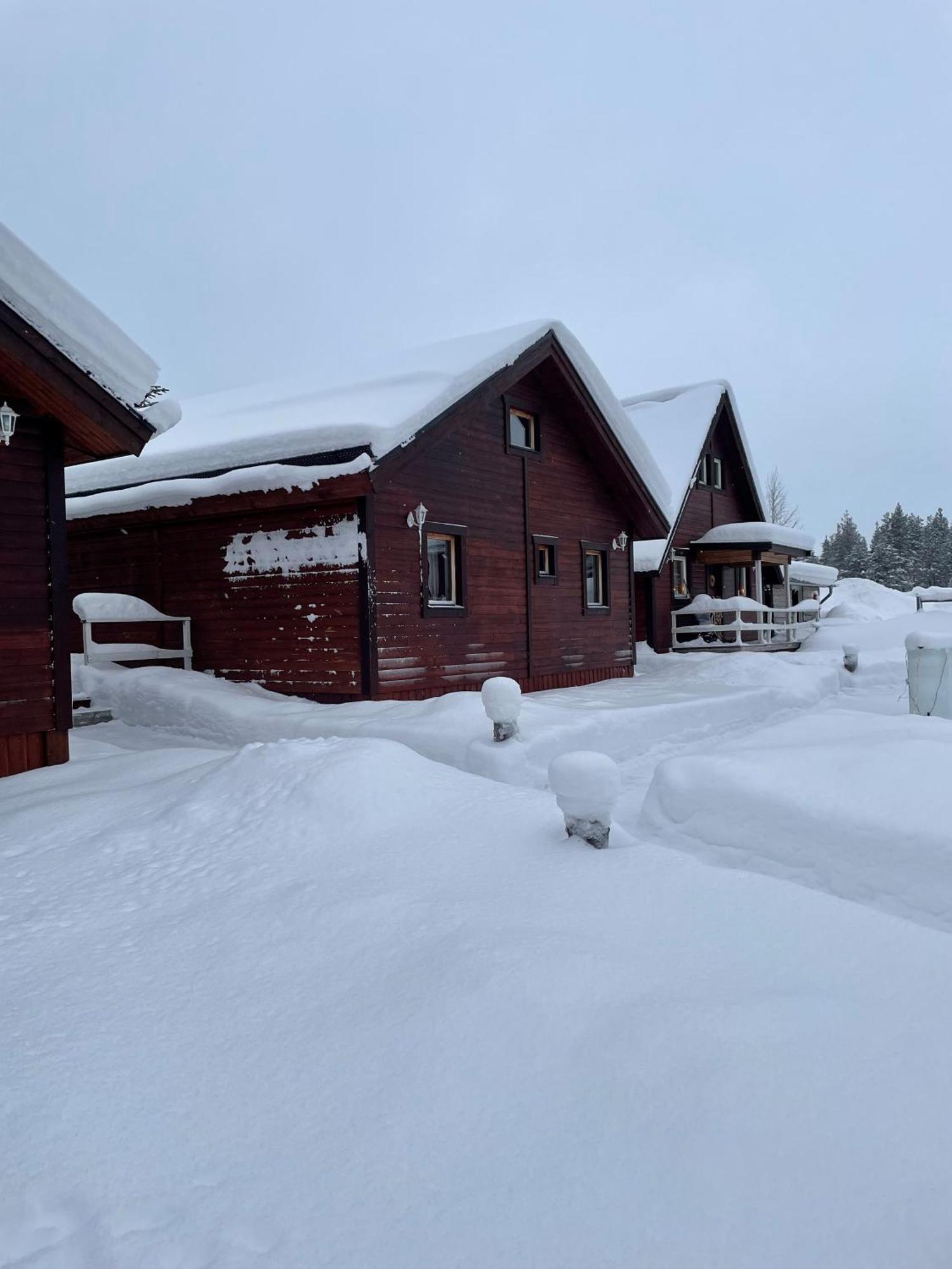 Skogen-Lodge Koskullskulle Екстер'єр фото